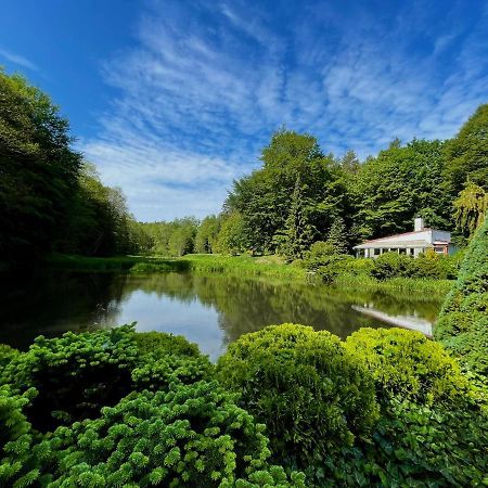 Domek W Glebi Lasu Nad Stawem Wierszyno Exteriör bild