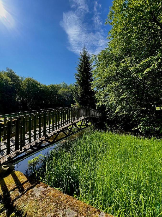 Domek W Glebi Lasu Nad Stawem Wierszyno Exteriör bild
