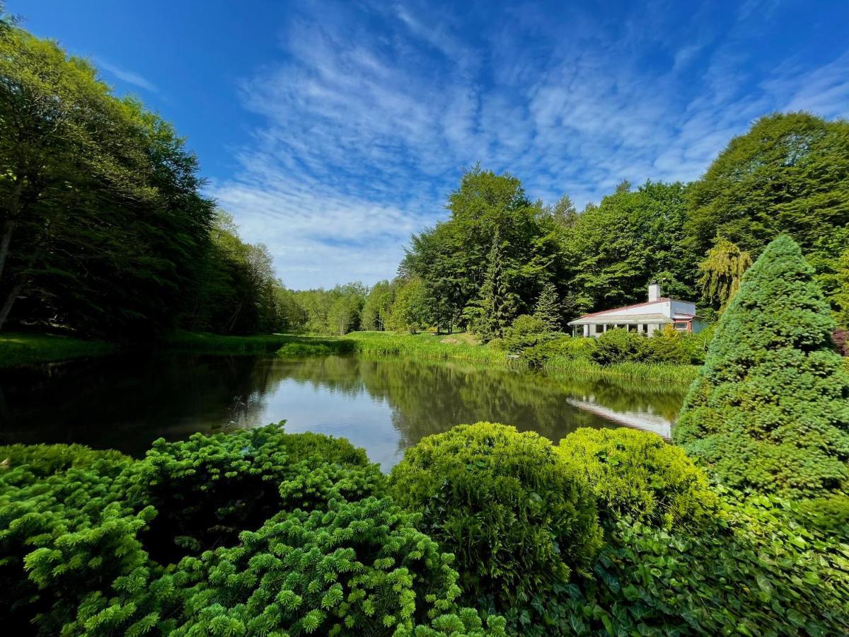 Domek W Glebi Lasu Nad Stawem Wierszyno Exteriör bild